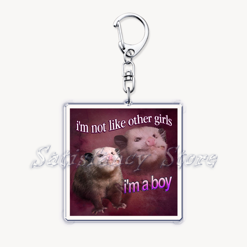 Drôle Possum Hamster raton lav - Tech Accessories Bag avis et prix